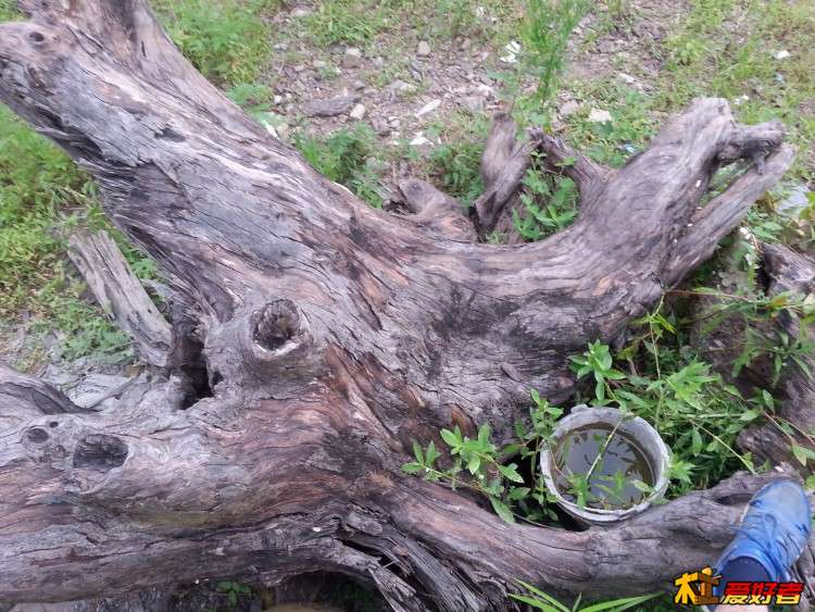 20160625_160807.jpg