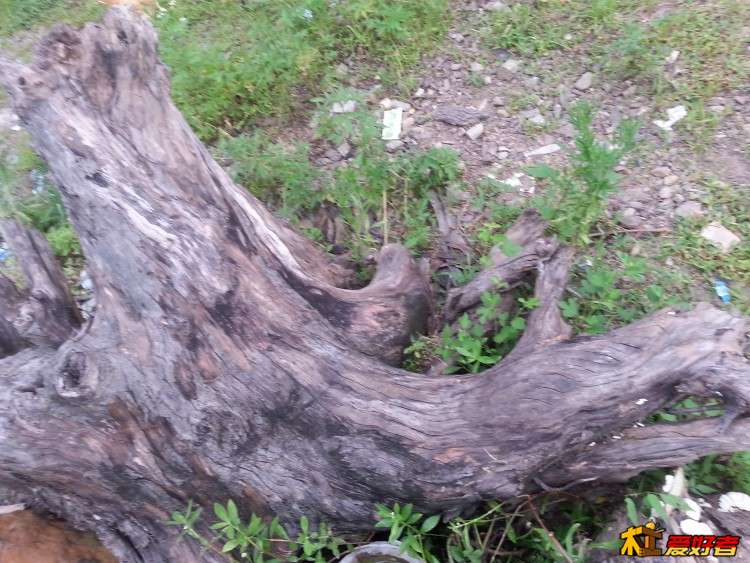 20160625_160742.jpg