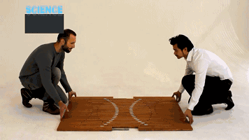 146410227347294847.GIF