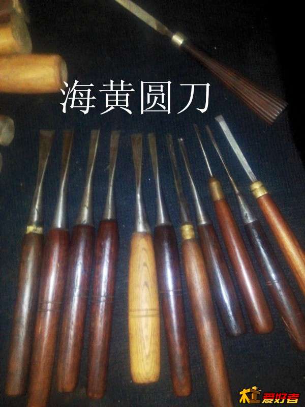 海黄圆刀.jpg