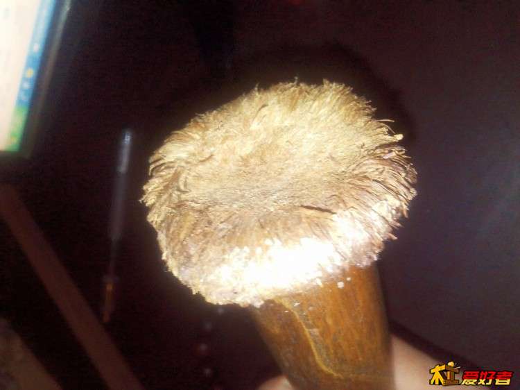 2015-10-01_18-06-11_253074_org-8.jpg