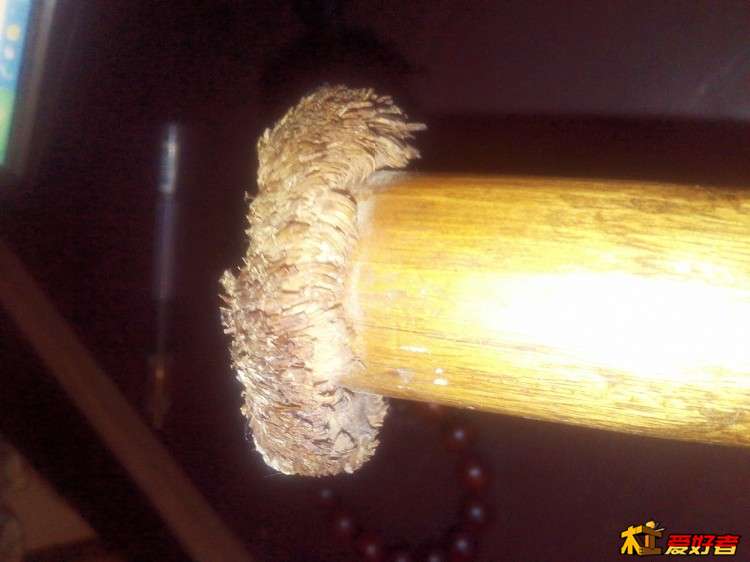 2015-10-01_18-06-20_781815_org-8.jpg