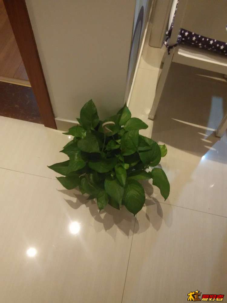 IMG_20151117_191334.jpg
