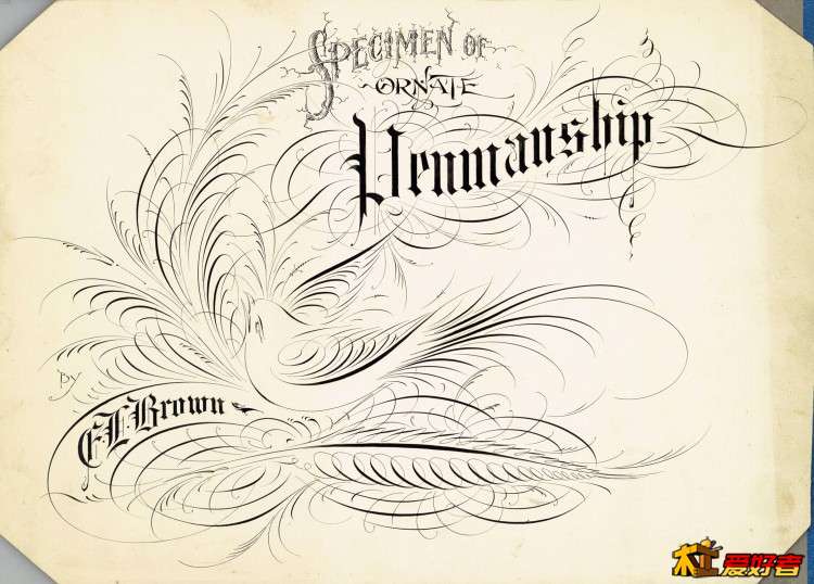 BrownEL Specimen of Ornate Penmanship.jpg