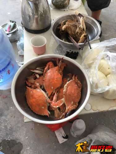 image.jpeg