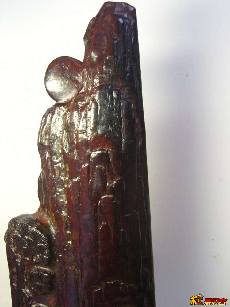 SNC15764 (复制).jpg