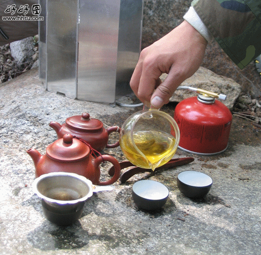 请饮武夷山金骏眉.gif