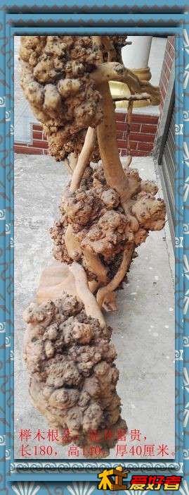 榉木根艺：花开富贵，长180，高140，厚40厘米。5.jpg