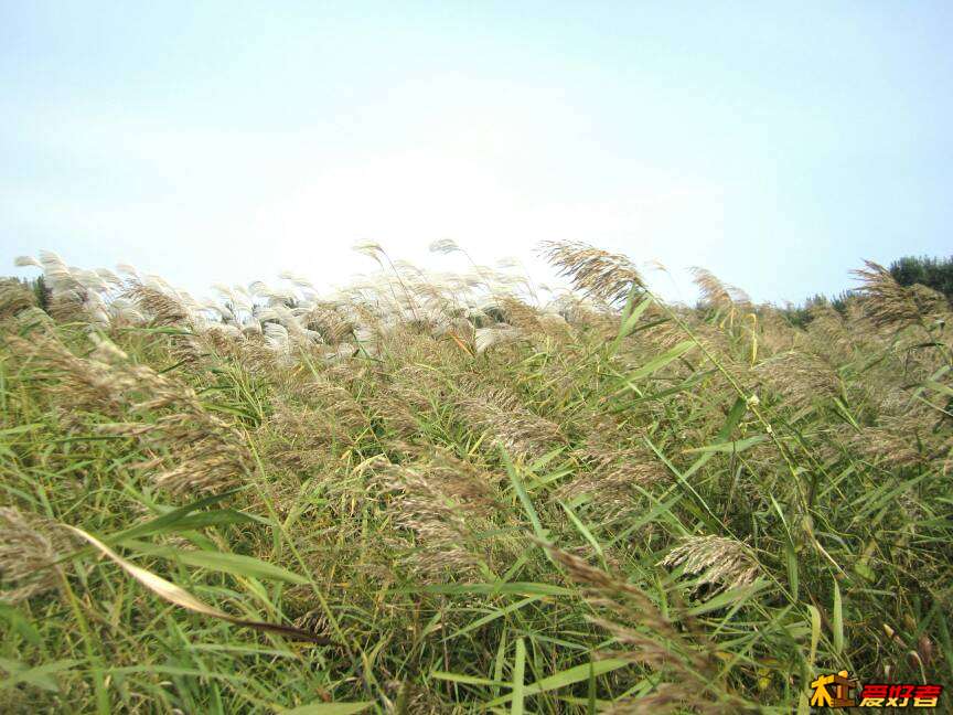 201221mz6dcnnt8xcedftn.jpg