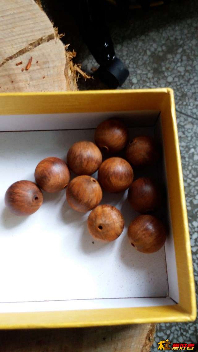 20161026_130624_副本.jpg