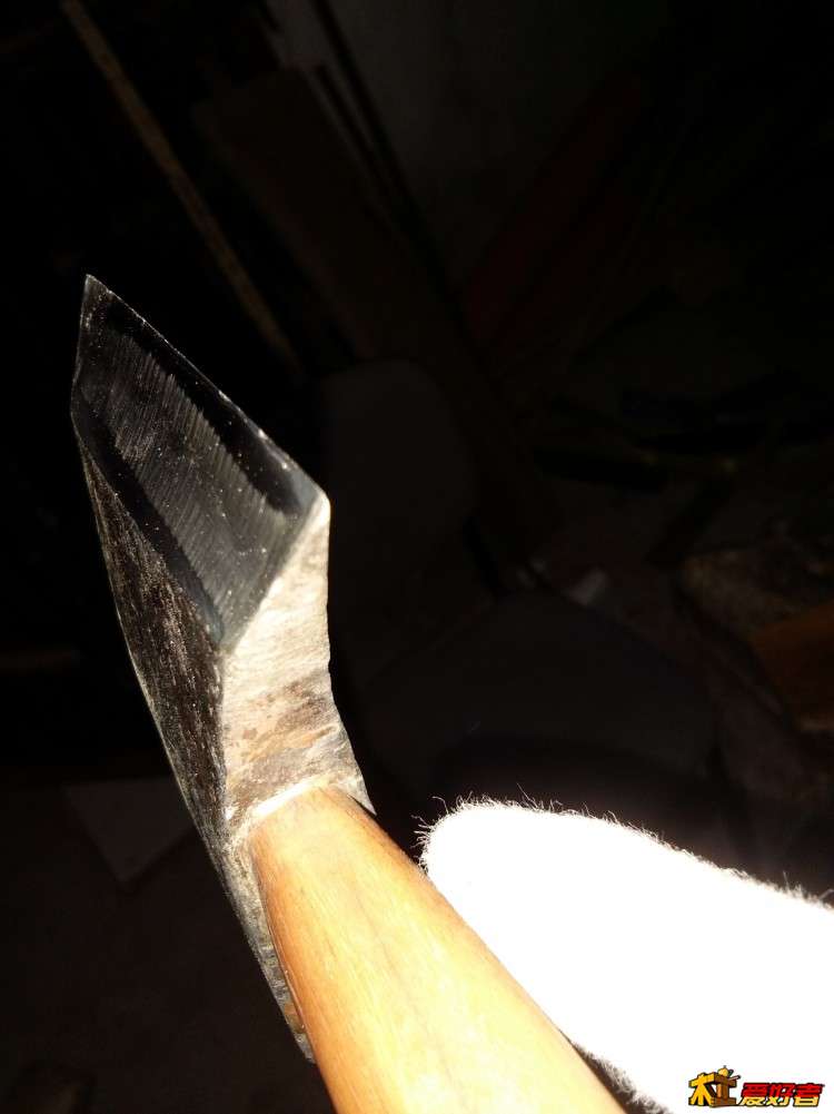 IMG_20161109_182223.jpg