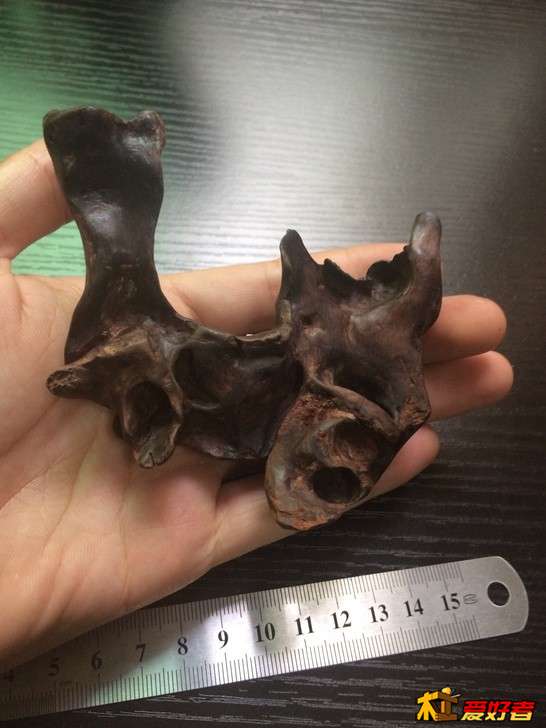 买的黄花梨2.jpg
