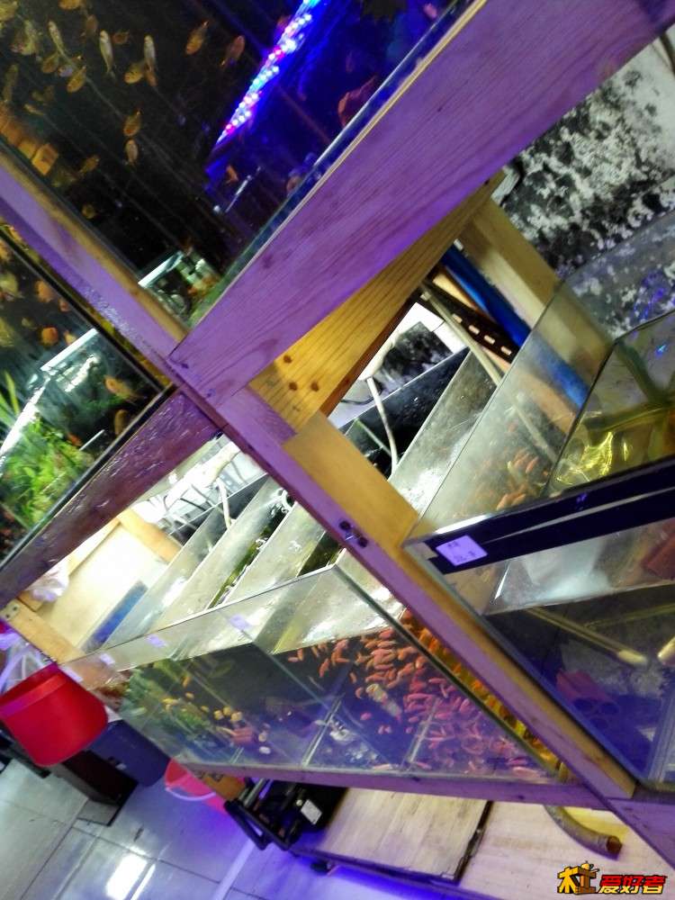 水族店的鱼缸重多了，用的是3*6CM的杉木方