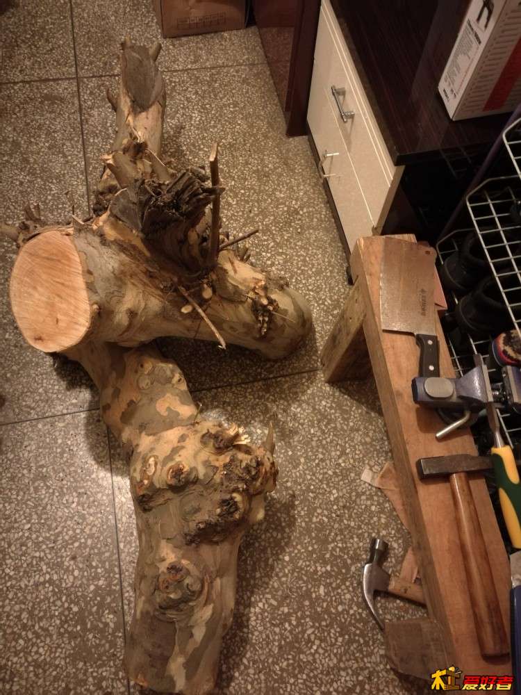 是叫国槐吗！！