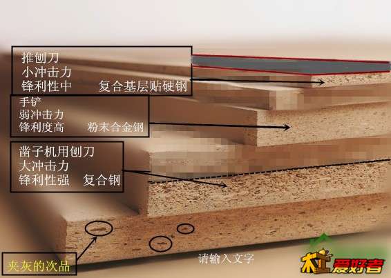 4895_9coxa___副本.jpg