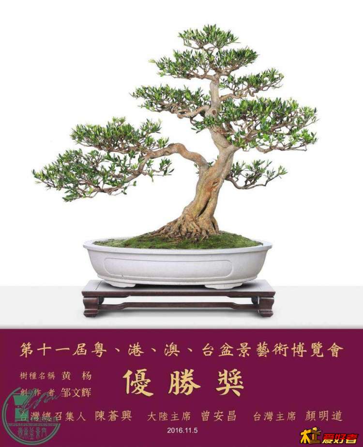 231927dkwmii1k3jii2khm.jpg.thumb.jpg