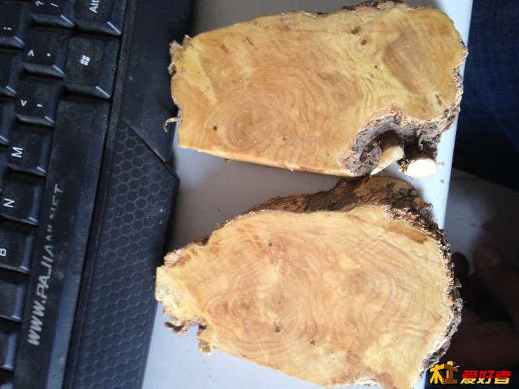 就是这个...知道的麻烦告诉下  谢谢了