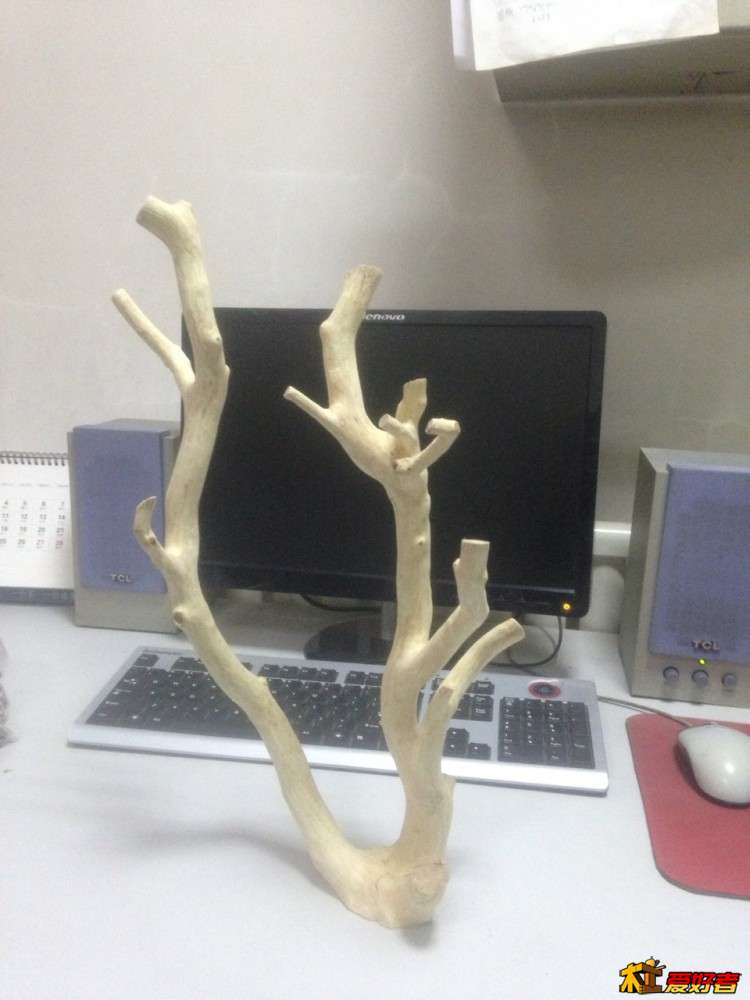 这个是黄杨树杈..没想到做啥 就把皮打了  感觉这么看着也挺好  不过还有一层薄薄的白皮 不好弄下去 木有们 ...