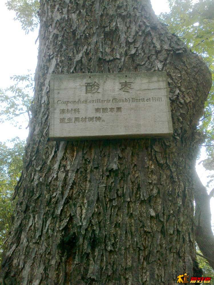 20150909269_副本.jpg