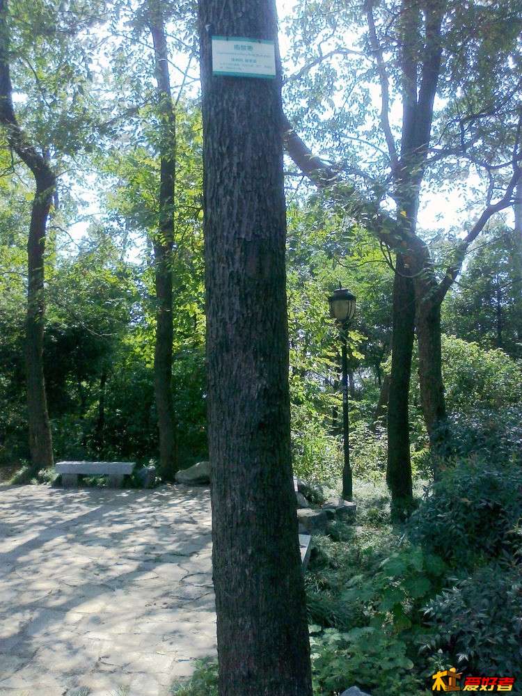 20150909271_副本.jpg
