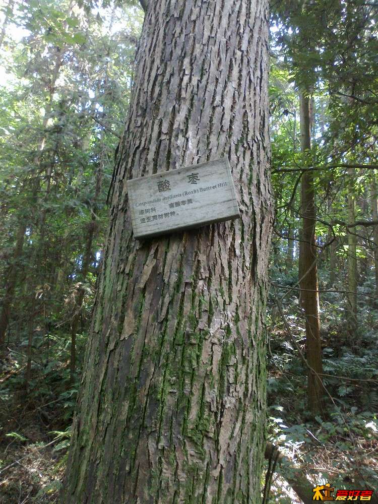 20150909324_副本.jpg