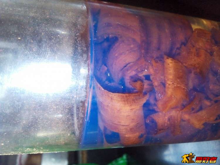2015-05-15_10-30-01_506220_org-8.jpg