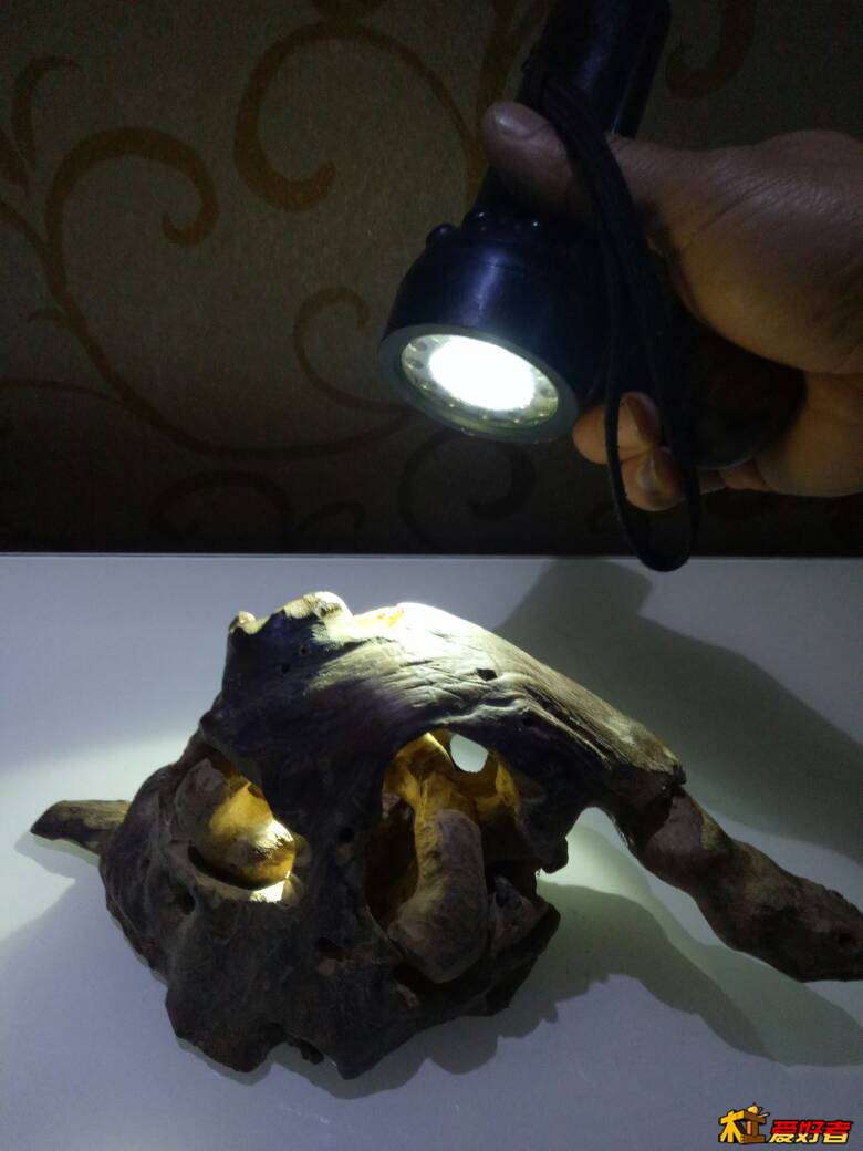 203039b38arav4ahrkkxrn.jpg