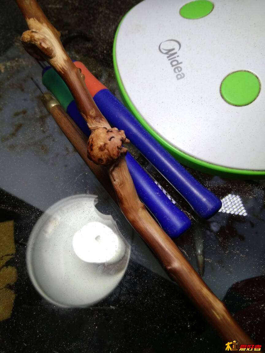 005006mfvsvqkdqsabjxjc.jpg