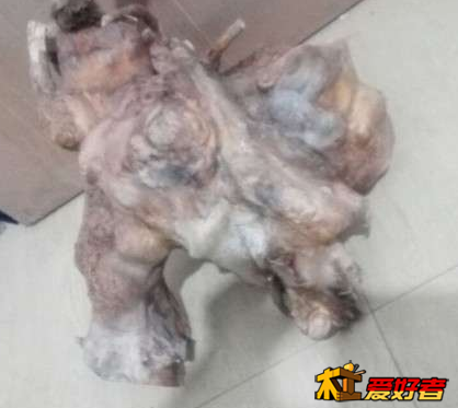 QQ截图20170205104726.png