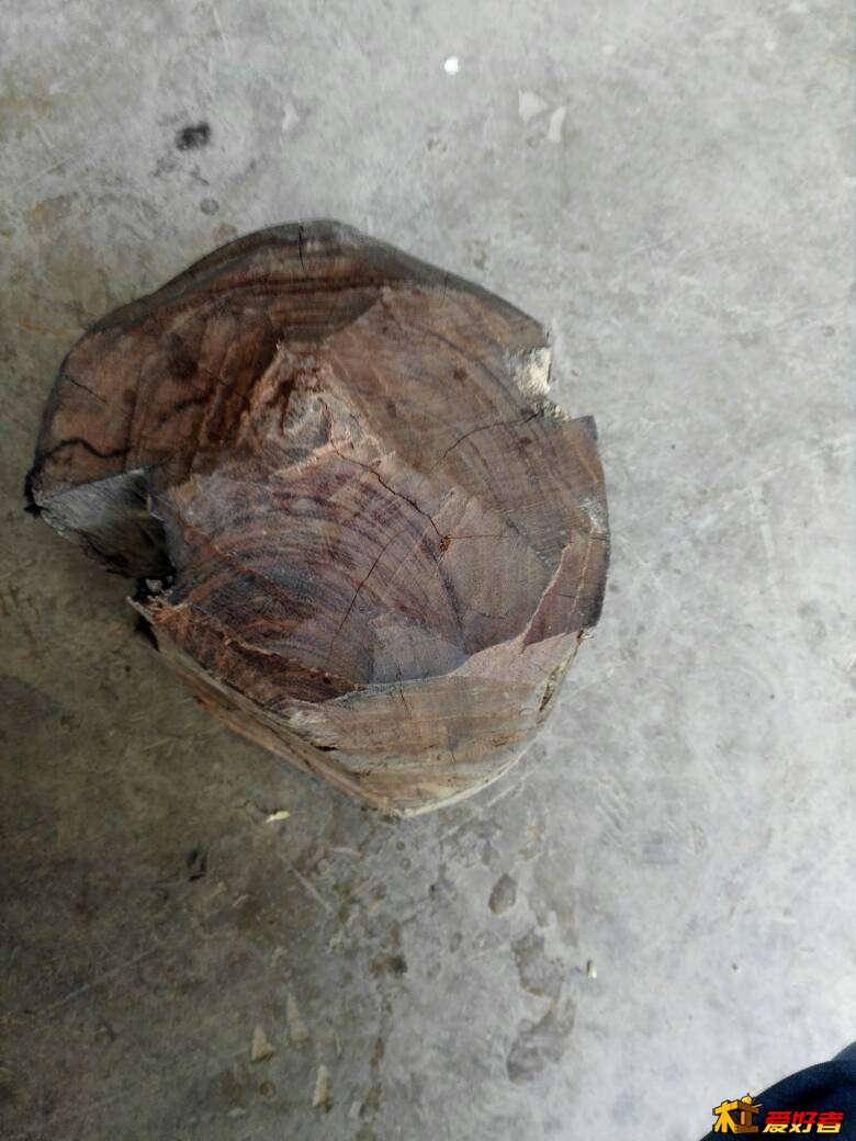 173634eq2fy82hl24gpghf.jpg