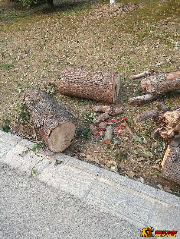 132038etkgkgkakait82gh.jpg