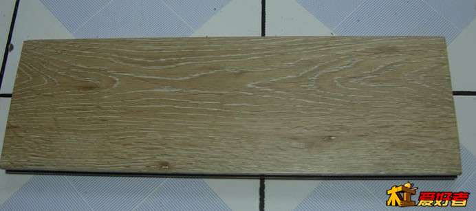 DSCN2218.jpg