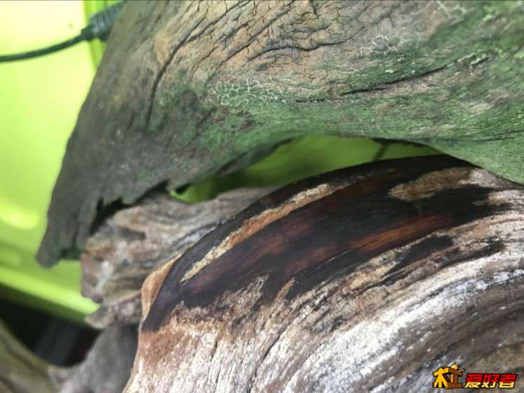 拿240目的砂纸磨了一下  没磨出什么来