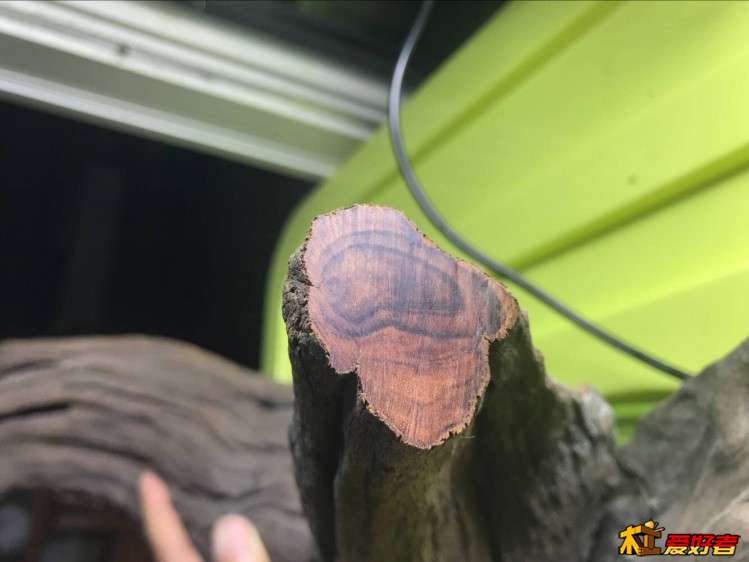 切开摸上去很光滑 很舒服