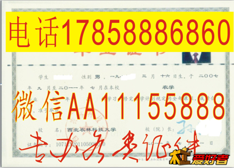 上海理工大学吃饭硕士学位证上海电力学院学位证上海商学院博士学位证 (11).png