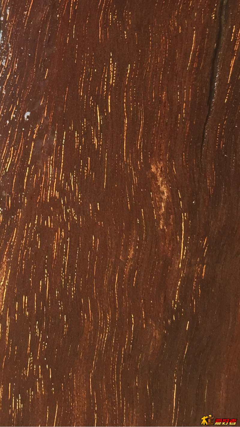 172909xtxivxvsi1cf1vzj.jpg