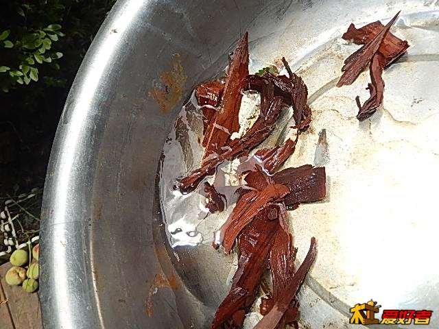 DSCN4432.JPG