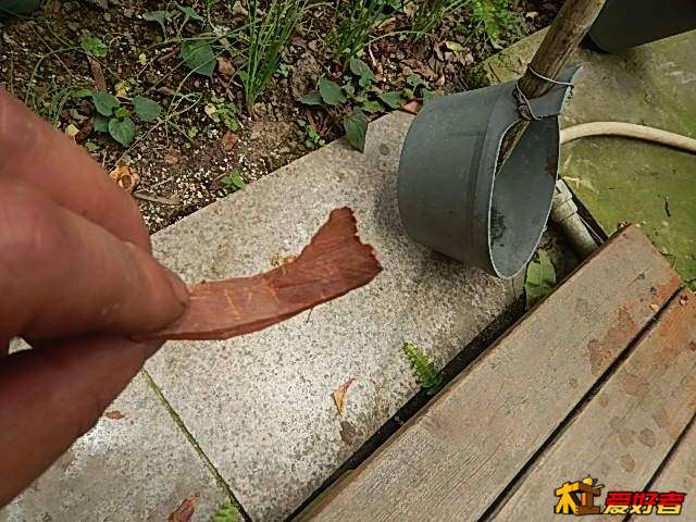 DSCN4434.JPG