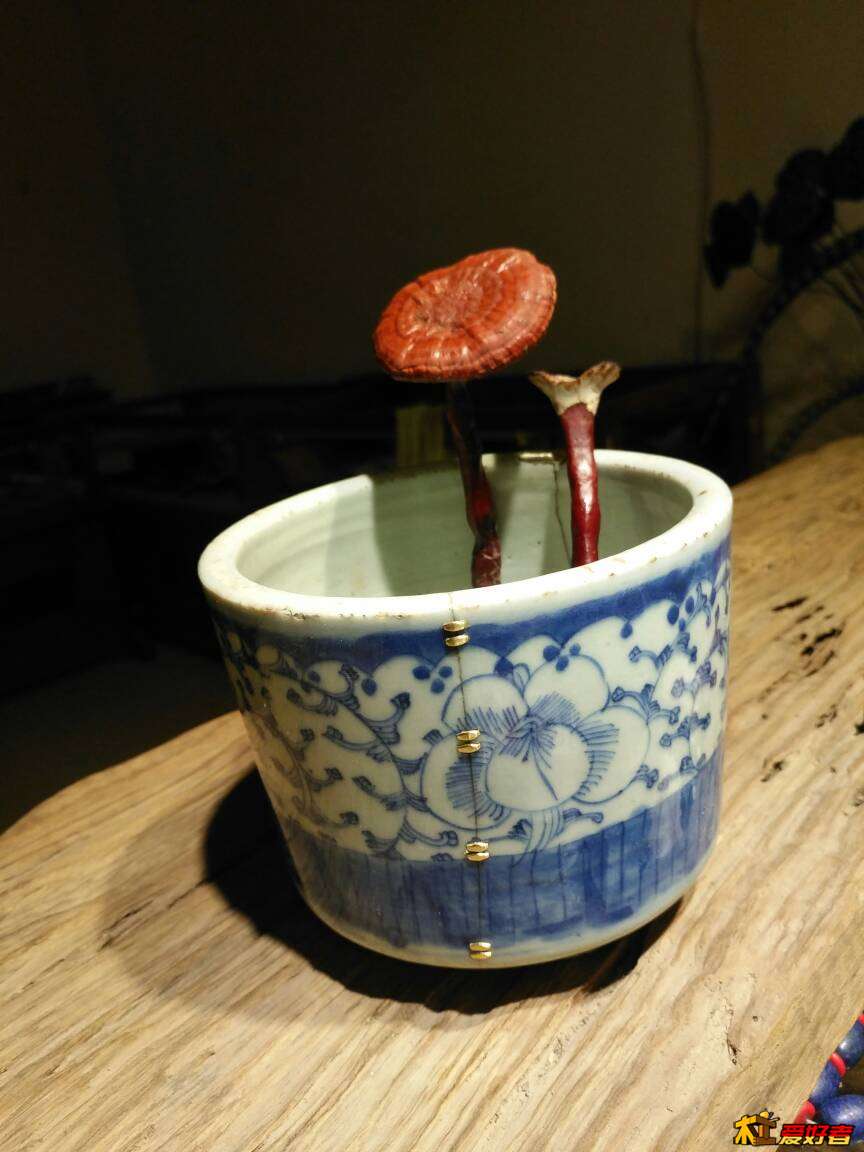 093517hq31uxxzxalx6svm.jpg