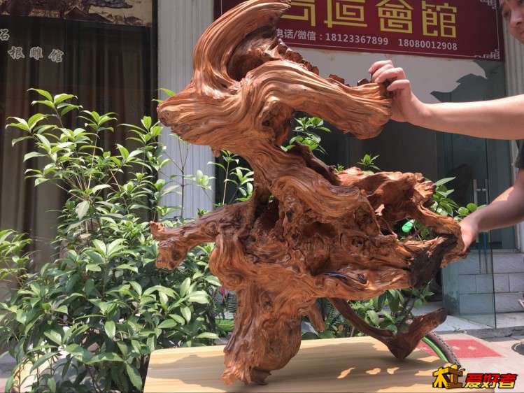 QQ图片20170715140425.jpg