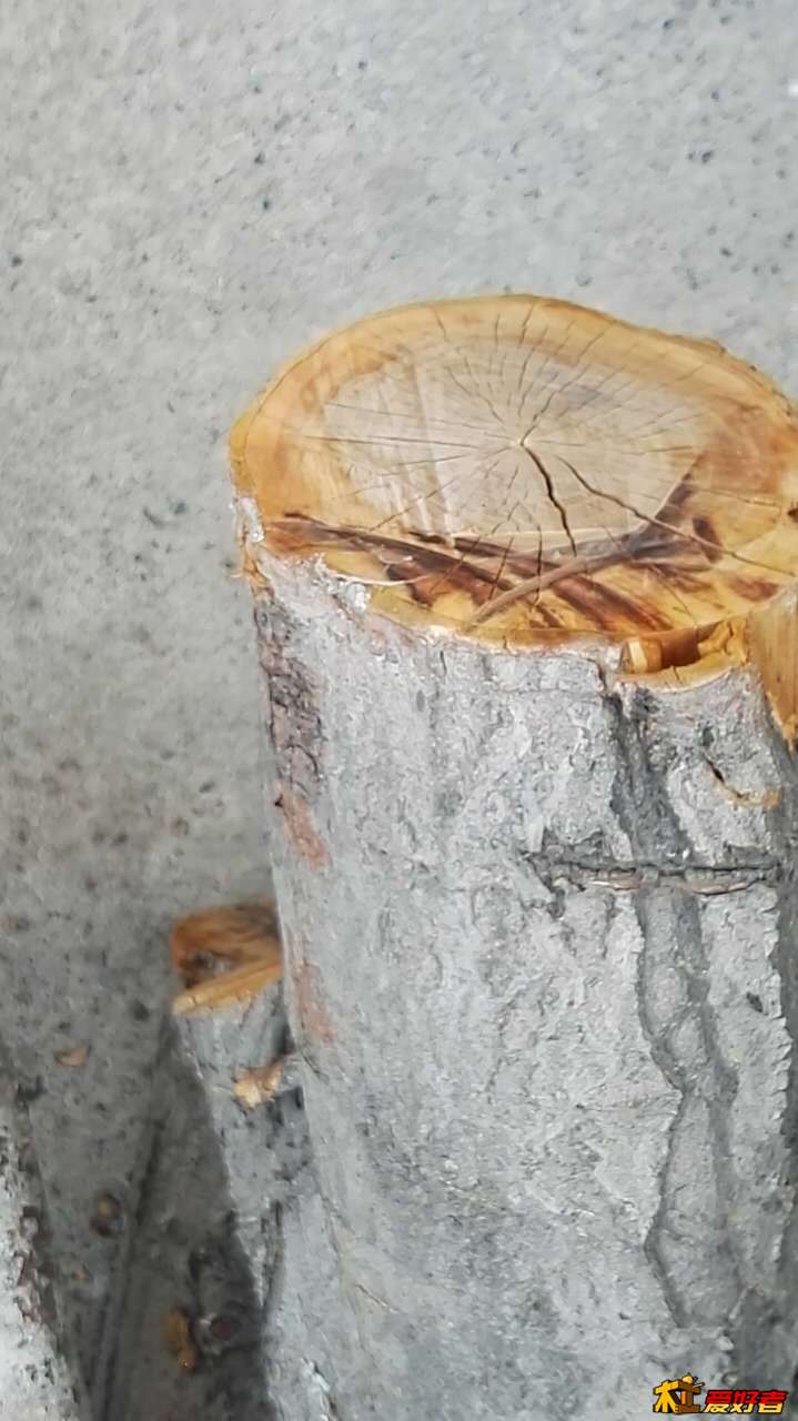 木质还成