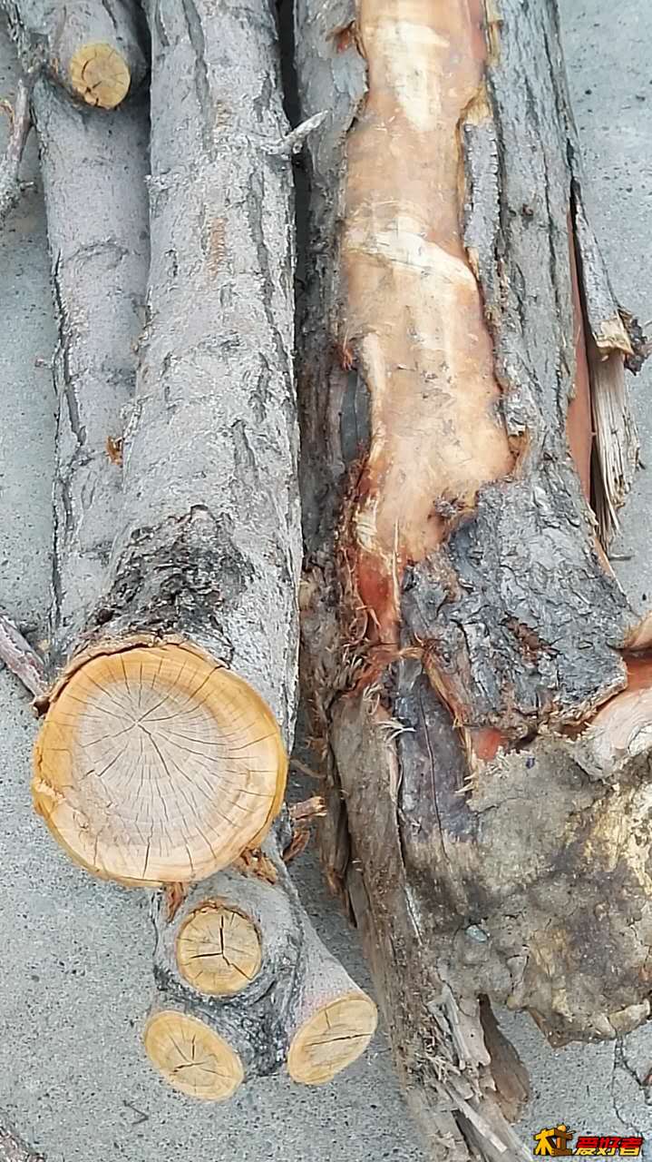 截面