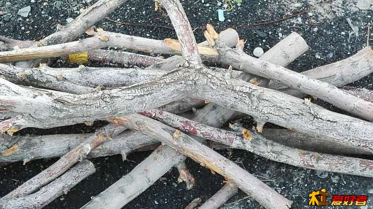预备的工具把3