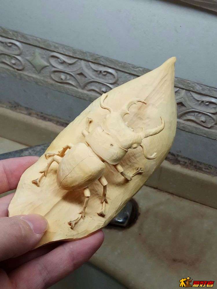 16.jpg
