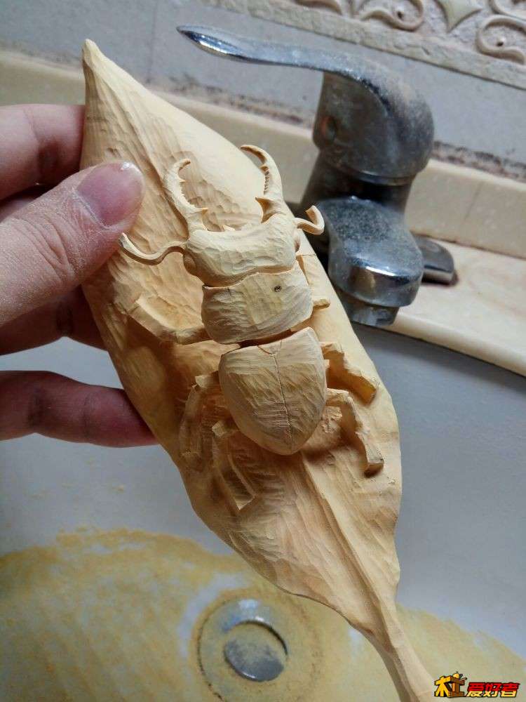 17.jpg