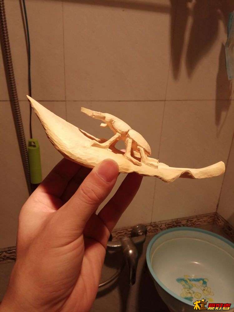20.jpg