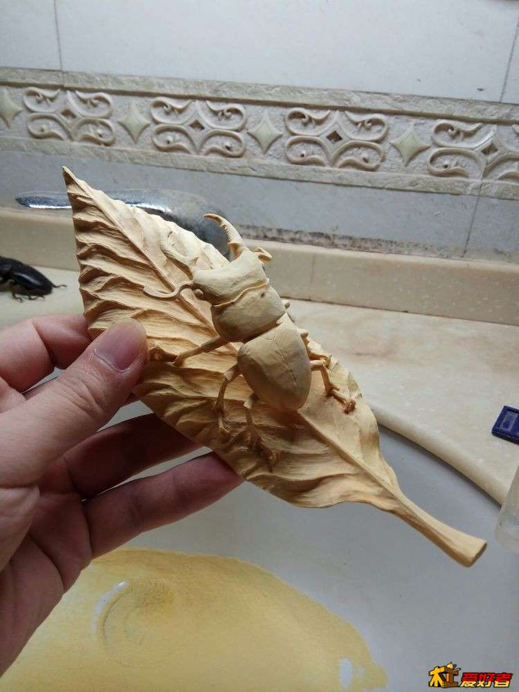 22.jpg