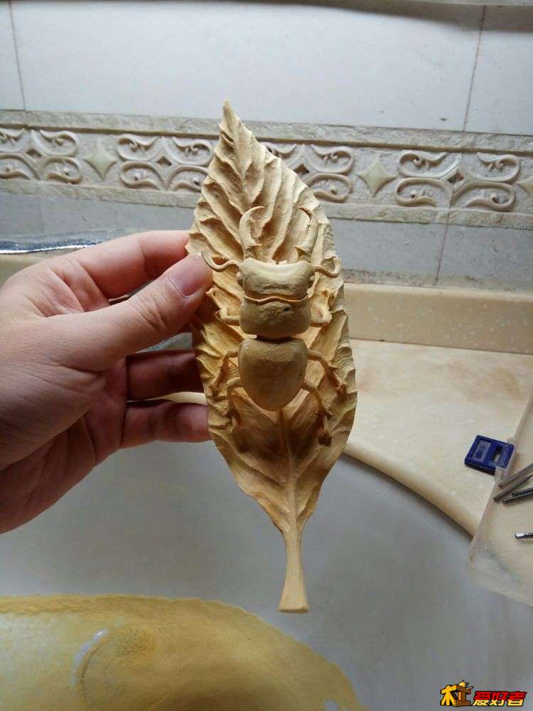 24.jpg
