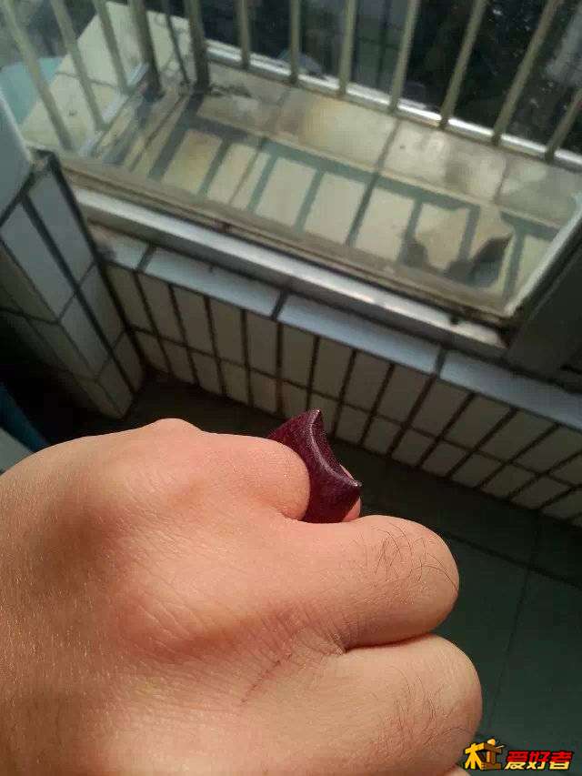 212626iyfzga3ki0tkfxf5.jpeg