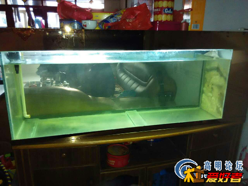 鱼缸水.jpg